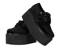 Black Velvet Stratocreeper