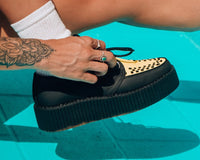 Black & Yellow Viva Mondo Creeper