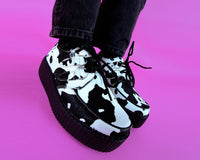 Cow Print Viva Mondo Creeper