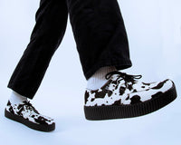 Cow Print Viva Mondo Creeper