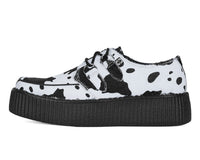 Cow Print Viva Mondo Creeper